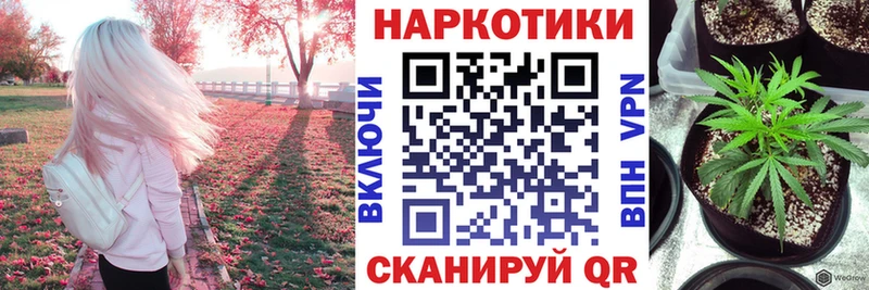 Где купить Геленджик Конопля Меф мяу мяу Галлюциногенные грибы ГАШИШ Метадон Альфа ПВП