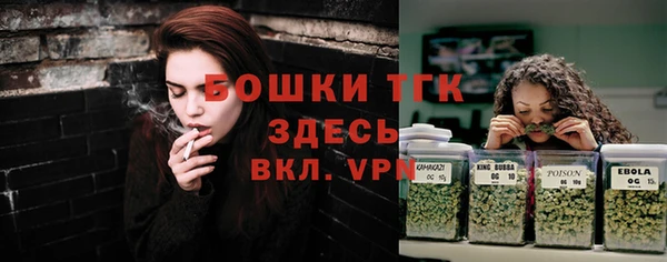 сатива Баксан