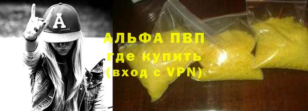 сатива Баксан